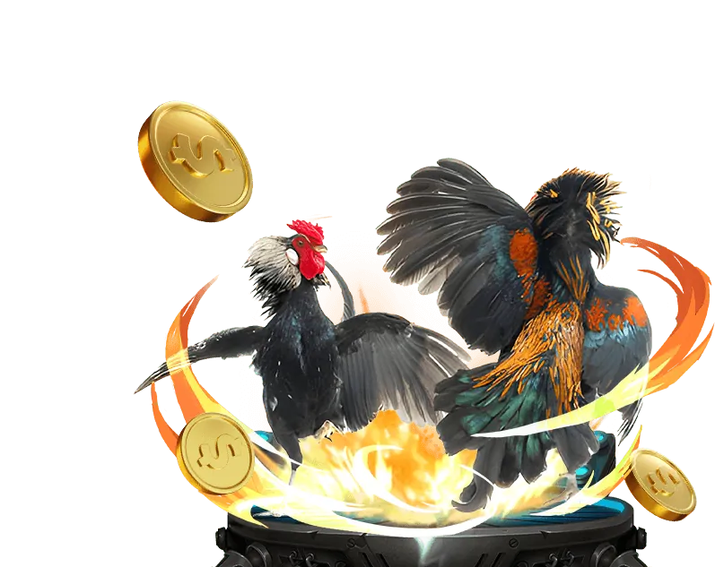 Hình ảnh minh họa cộng đồng người chơi cá xèng club